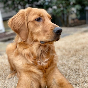 Meet your Posher, Tabitha